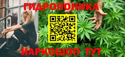 Альфа ПВП Кимры
