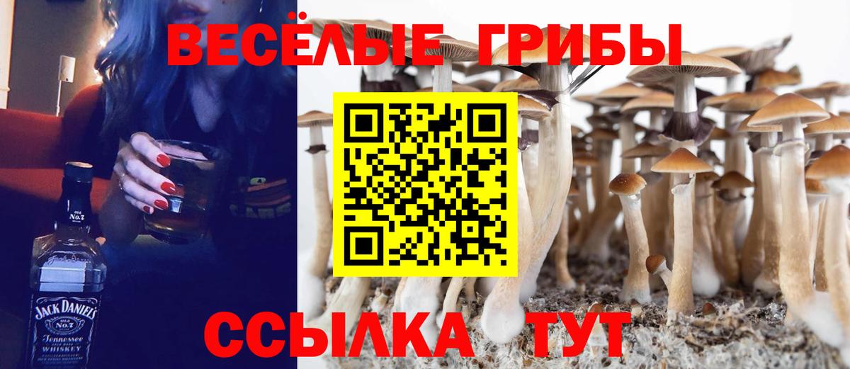 Псилоцибиновые грибы ЛСД  Вход с VPN  Крымск 